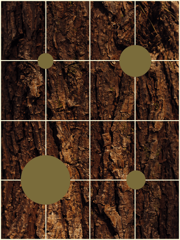 Imagem de textura de árvore